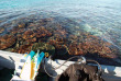 Fidji - Iles Mamanuca - Matamanoa Island Resort