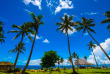 Fidji - Taveuni - Paradise Taveuni