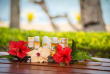 Fidji - Rakiraki - Wananavu Beach Resort - Beachfront View Bure