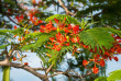 Fidji - Rakiraki - Wananavu Beach Resort