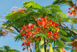 Fidji - Rakiraki - Wananavu Beach Resort