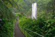 Hawaii - Hawai Big Island - Akaka Falls ©Hawaii Tourism, Tyler Schmitt