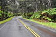 Hawaii - Hawai Big Island - Volcano National Park ©Shutterstock, Alberto Loyo