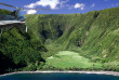 Hawaii - Big Island - Survol en hélicoptère de la côte d'Hamakua : 45 minutes