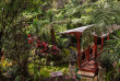 Hawaii - Hawaii Big Island - Volcano - Chalet Kilauea Rainforest Hotel