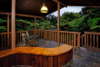 Hawaii - Hawaii Big Island - Volcano - Chalet Kilauea Rainforest Hotel - Deluxe Bungalow