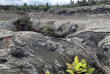 Hawaii - Hawai Big Island - Volcano National Park ©Pacifique à la Carte