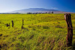 Hawaii - Hawai Big Island - Kohala Coast ©Hawaii Tourism, Tor Johnson