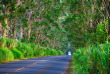 Hawaii - Kauai - Koloa ©Hawaii Tourism, Tor Johnson