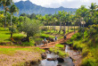 Hawaii - Kauai ©Hawaii Tourism, Tor Johnson