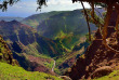 Hawaii - Kauai - Waimea Canyon ©Shutterstock, Luc Kohnen