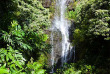 Hawaii - Maui - Route d'Hana ©Hawaii Tourism, Tor Johnson