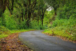 Hawaii - Maui - Aventure sur la Route de Hana © Shutterstock, Doug Oglesby