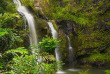 Hawaii - Maui - Route d'Hana ©Shutterstock, Ami Parikh