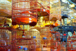 Hong Kong - Cultures et saveurs de Hong Kong © iStock, Yoyochow23