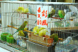 Hong Kong - Cultures et saveurs de Hong Kong © iStock, Yoyochow23