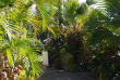 Iles Cook - Rarotonga - The Black Pearl Beach Side Apartments
