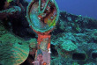 Micronésie - Truk - Truk Lagoon Dive Center - Fujikawa Maru