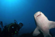 Nouvelle-Calédonie - Grande Terre - Bourail Aqua Diving