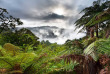 Tour du Monde - Nouvelle-Zélande - Auckland © Tourism New Zealand