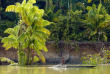 Papouasie-Nouvelle-Guinée - Karawari Lodge © Trans Niugini Tours, Chris McLennan