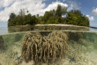 Papouasie-Nouvelle-Guinée - Lissenung Island Resort © Juergen freund