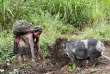 Papouasie-Nouvelle-Guinée - Tari - Ambua Lodge © Trans Niugini Tours, Chris McLennan