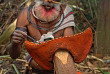 Papouasie-Nouvelle-Guinée - Tari - Ambua Lodge © Trans Niugini Tours