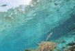 Polynésie - Croisière dans l'archipel de la Société - Bora Bora © Tahiti Tourisme