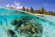 Polynésie française - Bora Bora - Combo Safari 4x4 et Plongée Libre