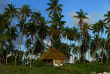 Polynésie - Fakarava - Pension Raimiti - Fare Crusoe