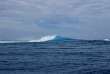 Polynésie française - Moorea - Découverte de la faune marine, lagon et océan