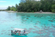 Polynésie française - Moorea - Découverte de la faune marine, lagon et océan