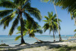 Polynésie - Moorea - Les Tipaniers