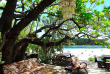 Polynésie française - Moorea - Journée privée Polynésienne Kahaia