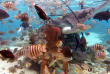 Polynésie française - Moorea - Plongée Libre Guidée au Lagoonarium de Moorea