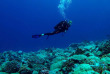 Polynésie - Tuamotu - Fakarava - Dive Spirit