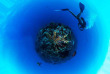 Polynésie - Tuamotu - Fakarava - Dive Spirit