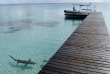 Polynésie française - Tuamotu - Fakarava - O2 Fakarava