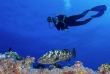 Polynésie française - Tuamotu - Fakarava - O2 Fakarava