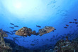 Polynésie française - Tuamotu - Fakarava - O2 Fakarava