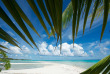 Polynésie - Rangiroa - Le Sauvage Private Island