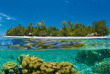 Polynésie - Rangiroa - Le Sauvage Private Island