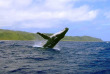 Polynésie - Croisière à bord de l'Aranui 5 - Programme Iles Australes - Rurutu © Tahiti Tourisme, Gilles Di Raimondo