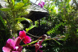 Polynésie - Rurutu - Pension Le Manotel