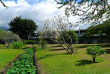 Polynésie - Tahiti - Royal Tahitien - Jardins