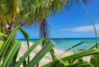 Polynésie française - Tikehau - Tikehau Paradise - Plage