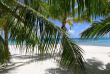 Polynésie française - Tikehau - Tikehau Paradise - Bungalow Plage