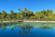 Polynésie française - Tikehau - Tikehau Paradise - Plage
