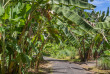 Vanuatu - Efate - Iririki Island Resort